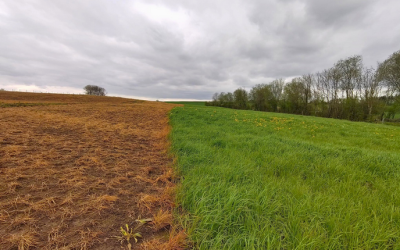 Etalle : Des terres nourricières aspergées de pesticides pour de la biométhanisation