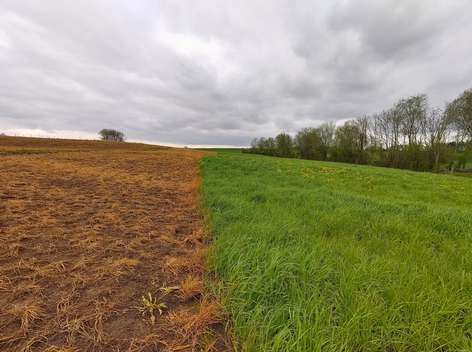 Etalle : Des terres nourricières aspergées de pesticides pour de la biométhanisation