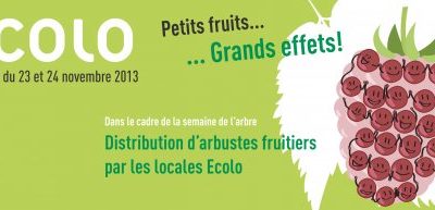 Distribution d’arbustes fruitiers