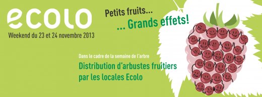 Distribution d'arbustres fruitiers