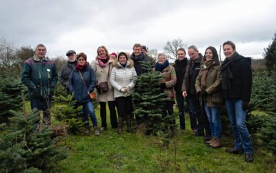 Un sapin de Noël écoresponsable ? Un premier pas dans la bonne direction, mais il en faudra d’autres !