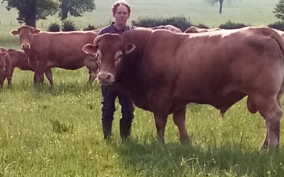 Adrien Blauen, agriculteur bio de Messancy et candidat à l’Europe